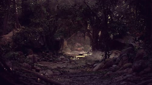 Dark Forest Landscape With Rocks and Trees