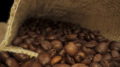 Close Up of Coffee Beans Inside a Burlap Sack