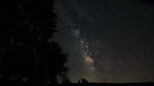 Stars