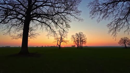 Scenic sunrise over a peaceful countryside field in Jelgava, Latvia, with silhouetted trees
