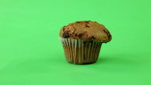 muffin s'allume sur écran vert