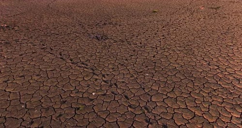 Dry Cracked Earth with Sprouts Aerial View
