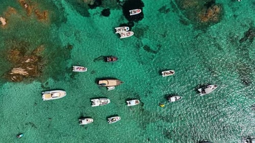 Aerial view on fast boats on blue sea at sunny day. Vacation and leisure.