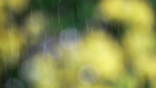 Raindrops with a blurred background