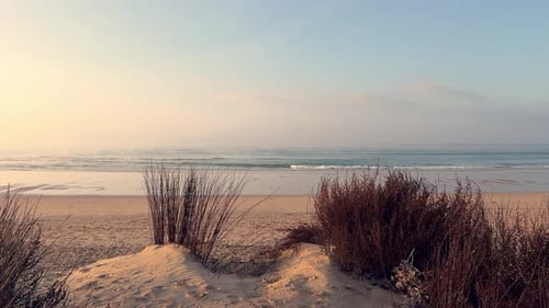 Sandy beach unfolds its tranquil beauty, adorned with the gentle presence of grassy vegetation atop