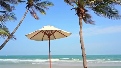 Beach umbrella and coconut palm trees near the sea, daytime on a sunny day