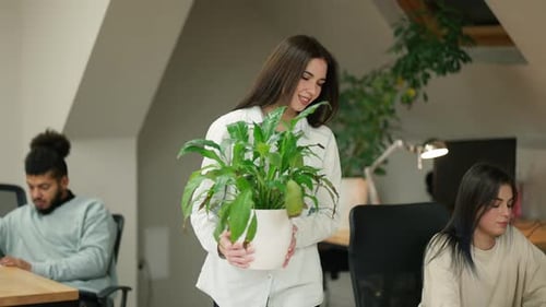 Software Developers Working As a Team in Office Girl Taking Care of Plant in the Office