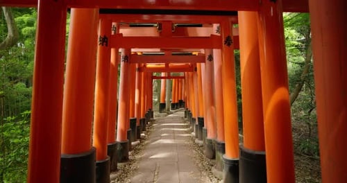Explore the iconic red torii gates of Fushimi Inari Taisha in Kyoto