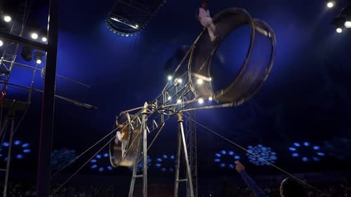 Two Brave Male Acrobats in a Rotating Wheel of Death Perform in the Circus