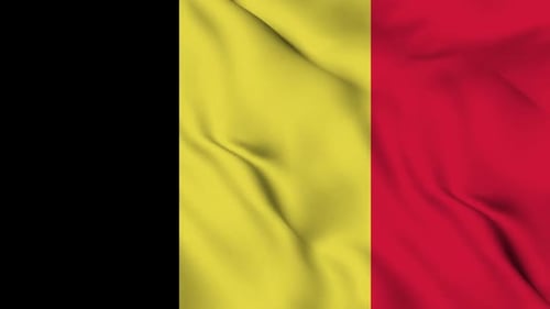 Vertical Belgium Flag Waving Realistic Loop
