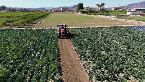 Farmworker riding tractor tilling or plowing the earth. Preparation to cultivate in agricultural fie