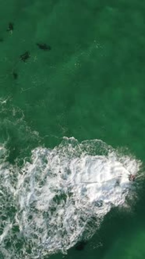 Un hombre vuela en un flyboard, vista aérea desde arriba, agua, deportes extremos, azul, verano, mar con aire libre