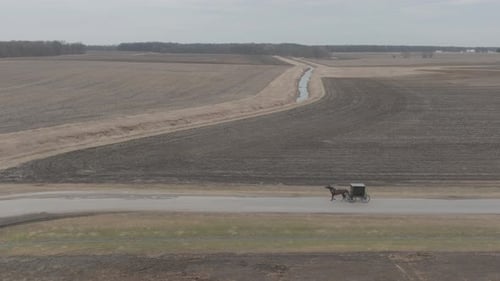 Horse and Buggy Travel Through Rural Farmland