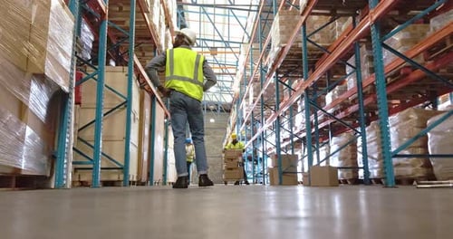 Timelapse, logistics and team with people in warehouse for package distribution