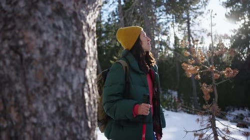 Woman Hiking in Snowy Forest in Winter