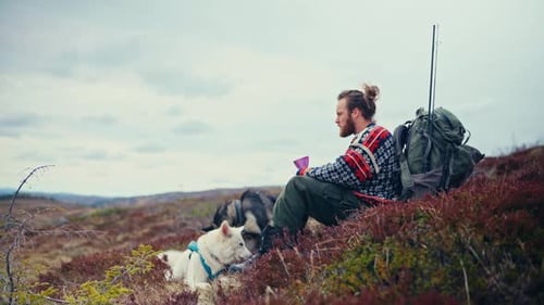 A Hiker With His Dogs Resting On The Grass Over Mountain Trails. Static Shot