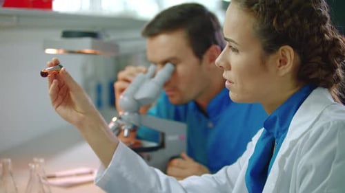 Scientists working in lab, examining samples, using microscope