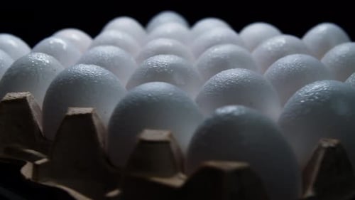 Fresh White Eggs in Carton Close Up