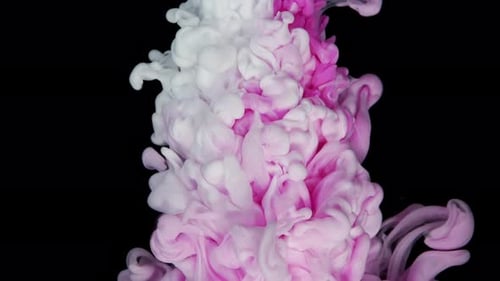 Pink and White Merge in Water Crafting a Mesmerizing Abstract on a Black Canvas