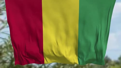 Guinea schwenkende vertikale Flagge
