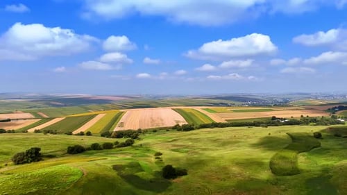 Aerial View of Farmland on a Sunny Day