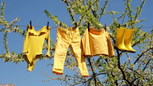 Drying cotton children's clothes after washing outdoors on sunny day on clothesline in garden