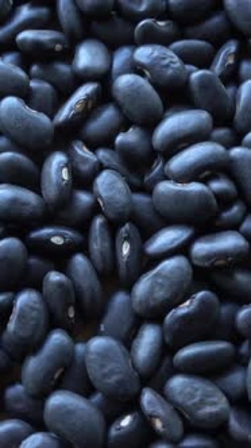Vertical View Pile of Black Beans 03