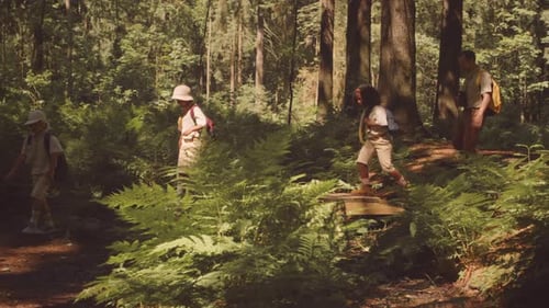 Troop of Cub Scouts with Leader Hiking in Forest