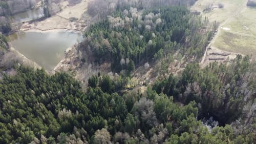 Lake surrounded by trees. Beautiful landscape in aerial drone shot.
