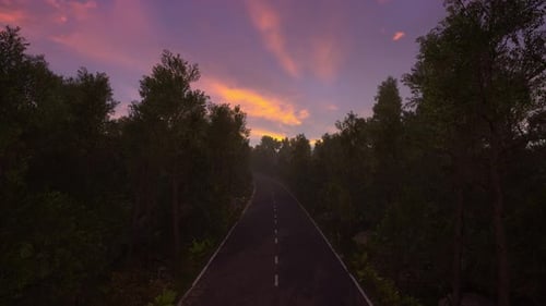 Serene Forest Road at Sunset with Vibrant Sky