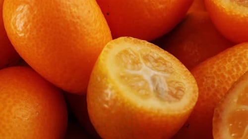 Ripe Kumquats with Vibrant Green Leaves Receiving Fresh Water Droplets Showcasing Natural Citrus