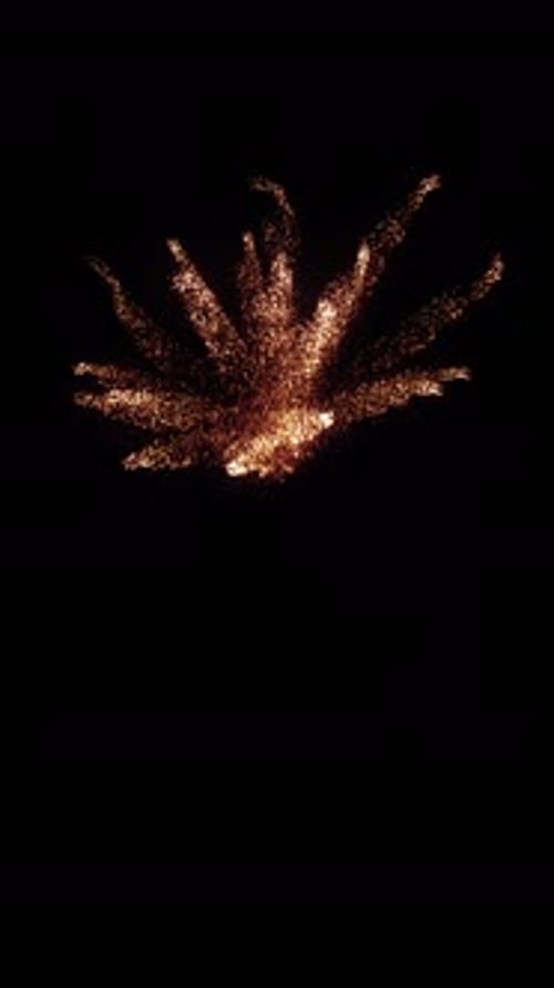 Golden Particles Burst Reveal Transition