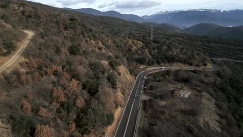 Drone View of a Road Through the Trees