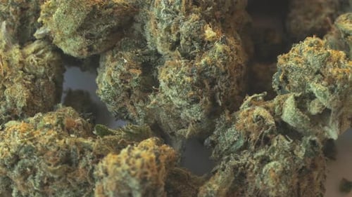 Marijuana Rotating Closeup Background Loop
