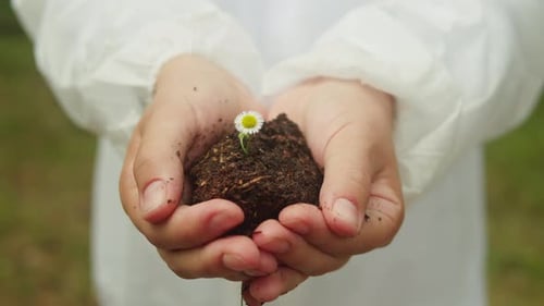 Taking Probe of Soil in Forest Geologist Man Worker Taking Measurements of Soil Probe By Scientific