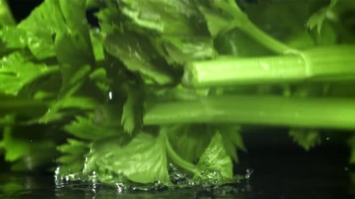 Fresh Celery Splashing into Water Close Up