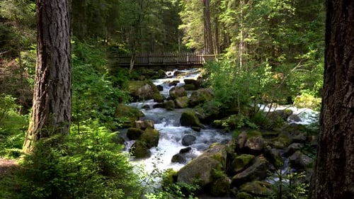 Wild Mountain Stream in the Green Valley. Historical Wood Bridge for Trekking in the forest in the B