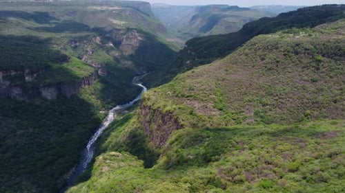 Fly over a huge canyon covered in vegetation