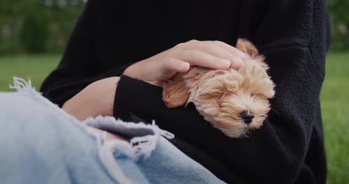 Child Sitting in the Park with a Puppy in Her Arms