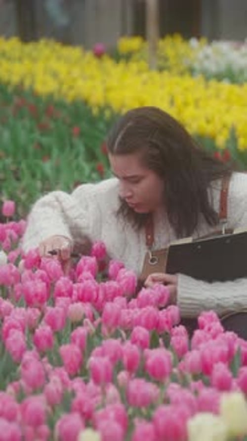 A Woman Passionately Tending to Beautiful Pink Tulips in a Lush Spring Garden Oasis