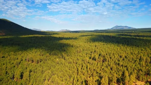 Forêt verdoyante spectaculaire avec les taches d'ombre des nuages. Montagnes en toile de fond.