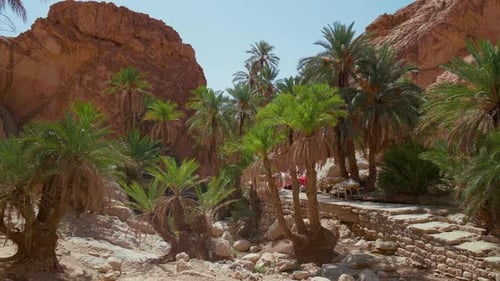 African desert view of a valley with palm trees and beautiful mountains in Tozeur Governorate.