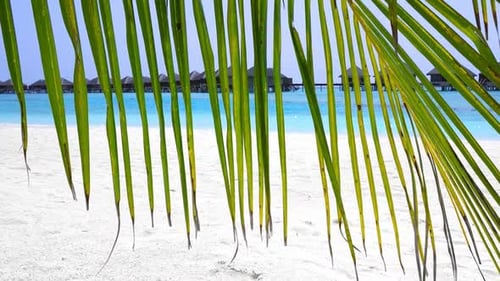 Tropical Travel Destination with Pristine Beach and Water Bungalows Through Palm Tree Leaves at