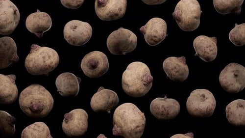 Realistic Beets Floating and Rotating Seamless Loop Background