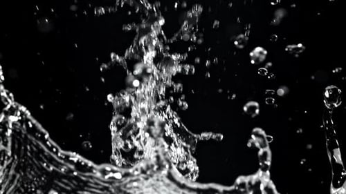 Clear Water Splashes and Bursts on a Black Background