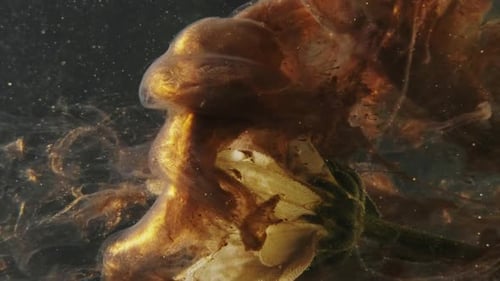 Flower submerged in swirling bronze and gold ink