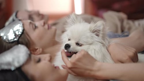Young Adults Relaxing with Dog in Bed