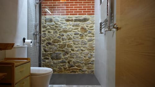 Modern Bathroom Interior Design with Stone Shower