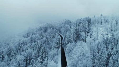 Magic View of Empty Road and Snow Covered Trees in Winter Forest