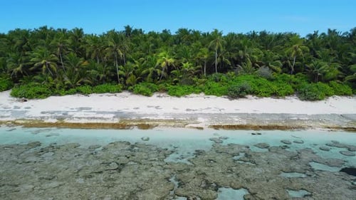 Tropical Coastline with Sand Beach and Transparent Ocean Aerial View of Fuvahmulah Island